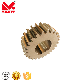 Gear (Helical/Worm/Bevel/Spur) Top Quality & Factory Price