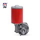 Diameter 88mm 200W 250W 350W Big Motor DC 12V 24V 36V Worm Gear Motor China Factory manufacturer