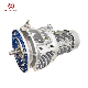  Checp Udl Coaxial Stepless Motor Variable Variator Speed Reducer Gearbox