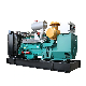  0.8MW Low Emission High Voltage 10.5kv Biomass Gas Engine Genset