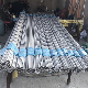 S31803/304/316 U Tube/Seamless Stainless Steel Pipe Heat Exchanger