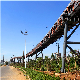  Long Life Steel Roller Conveyor System Belt Conveyor for Mining/Coal/Cement/Power Plant/Concrete Plant/Grain