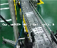 Ss Chain Conveyor From China Manufacture Bottle Filling Machine Conveyor