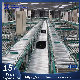 Express Logistics Electric Power Gravity Manual Flexible Expandable High Speed Telescopic Roll Conveyor manufacturer