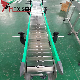  Ss Top Chain Conveyor Chain Conveyor with Anti-Rust Material From China Factory
