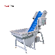 Stainless Steel Climbing Conveyor Belt Conveyor Assembly Workshop