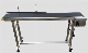  Custom Sized Stainless Steel Belt Conveyor Bag Feed Conveyor with Adjustable Speeds