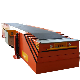  New Bag Loading Conveyor Carton Loading Conveyor