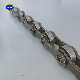 Good Price Stainless Steel Roller Chain