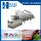 Industrial Fruit Vegetable Conveyor Belt Microwave Vacuum Dryer Machine Price