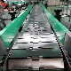  Basic Customization Stainless Steel Material Top Chain Conveyor Chain Plate Conveyor with Factory Price