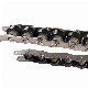  Custom Stainless Steel Conveyor Roller Chain Double Plus Chains BS25-C216A BS30-C216A