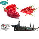 Washing and Drying Vegetable Line Pepper Washing Conveyor manufacturer