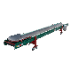  Easy/Practical/Stable Operation Movable Agricultural Vegetable Conveying Machine Single Layer Potato Conveyor