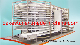 Industrial Bakery Equipment Loaf Toast Sandwich Burgur Bun Food Conveyor