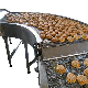  Adjustable Speed Mini Portable Food Industry Belt Conveyor