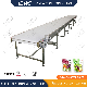  Leadworld Manufacturer Supply Food Industry Stainless Steel Conveying Cover Price Belt Conveyor 2 M