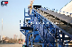 Qshi Customized Belt Conveyor for Handing Bulk Cargo Coal/Clinker