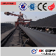 China Professional Belt Conveyor Manufacturer