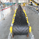 Customized Solution Provider Solid Rotary Conveyor with CE Components Conveying System