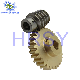  High Precision Custom Steel Worm Gears and Shaft