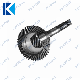 Powder Metallurgy Custom Machining Stainless Steel Micro Worm Gear Screw and Shaft