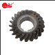  Customized Gear Module 6.5 and 22 Teeth for Reducer/ Oil Drilling Rig/ Construction Machinery/ Truck