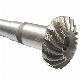  China Manufacturer Precision Machining Stainless Steel Spiral Gear Shaft for Boat