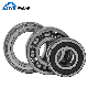 Medium and Large (120-190mm) Cylindrical Roller for Tool Spindles Zwz Bearing Hrb Beairng