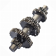 OEM 81636310/30013200/16001132 Valtra Tractor and Harvester Gears Shafts Parts for Agricultural Machinery