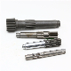 Stainless Steel Precision Machining Worm Gear Screw Shaft