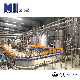 Full Automatic Fruit Juice Processing and Packaging Line