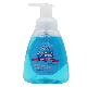 Hand Soap and Hand Sanitizing Liquid and Antimicrobial Hand Cleanser 500ml with Pump manufacturer