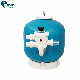 Factory Supply Swimming Pool Equipment Filtration System Side Mount Sand Filter Accessories