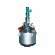  Stainless Steel Chemical Pharmaceutical Mixer Reactor