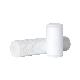 Factory Price Polypropylene PTFE Micron Pleated Filter Cartridge for Wine/Beer/Food