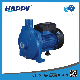 Happy Pressure Best Price Wholesale Centrifugal Water Pump (HCm158-A)