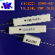 Power Electronics Component Rx27 Ceramic Encased Wirewound Cement Power Resistors 2W-100W