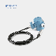 BH93420-III High Accuracy Diffused Silicon Water Level Sensor Level Transmitter With Display