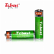 Manufacture High-Performance Ni-MH Rechargeable 1.2V AA 1000mAh for Disposable Batteries