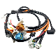  High-Power and Complex Multi-Branch Wire Harness Assemblies for Motorcycle