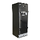 IP55 Shielded Enclosure-EMI/Rfi Cabinet for It Equipment- EMI Shielded Cabinet