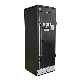 Chinese EMI-Shielded Grade C Cabinet IP55 Protection