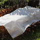 Gezi 1-4 Meters Weed Mat White Ground Cover for Blueberry