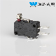 HK-14-16ap Micro Switch 10A 250V 5e4 TUV Certification ENEC En61058