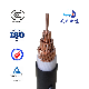 Low Voltage 1.5mm - 300mm LSZH Aluminum/Copper Power Cable 1/2/3/4/5core (Customizable)