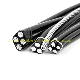 Overhead Insulated 1kv, 10kv Single Covered PVC/XLPE Insulated Cables Aluminum Conductors ABC Cable