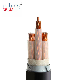 1kv Medium and Low Voltage XLPE/PVC Armored PE Insulated Copper Multicore Power Cable