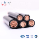  Low Voltage 0.6/1kv Multi-Core Copper Conductor XLPE Insulated PVC Sheathed Swa Armored Underground Electrical Power Cable