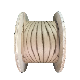  Hot Sale Kraft Paper Coated Conductor Insulated 2.4 mm Double Paper Covered Copper Wire